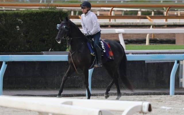 ベレシートなど、先週の入厩情報/栗東トレセンニュース