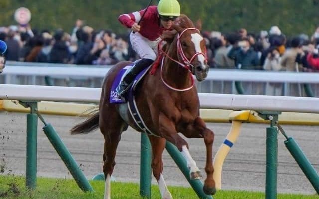 【ジャパンC】「母の父ガリレオ」のJRA・GI初制覇なるか シンエンペラーが悲願のビッグタイトル狙う