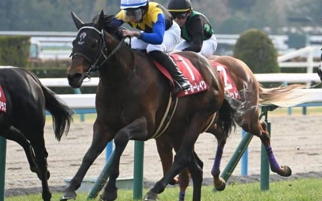 【ジャパンC予想】堅い決着目立つ最強決定戦 AIが導いた“超穴馬”とは