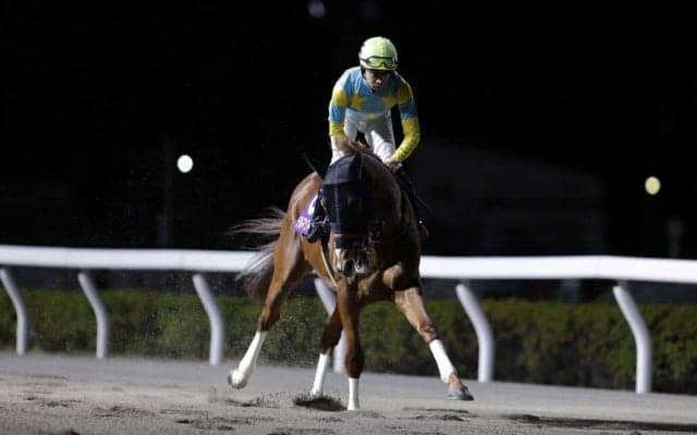 【浦和記念】団野「思った以上に頑張ってくれた」デルマソトガケは3着