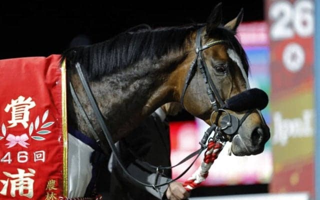 【浦和記念】岩田康「久しぶりの浦和競馬楽しみました」ホウオウルーレットが重賞2勝目