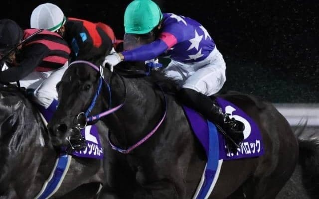 【園田・兵庫ジュニアGP注目馬】全日本2歳優駿を目指す素質馬が揃う 今年は特に好メンバーが集結