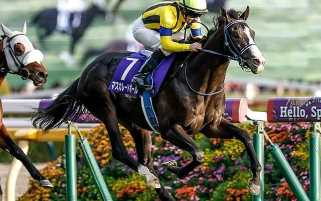 【ジャパンC枠順確定】マスカレードボールは7枠15番、クロワデュノールは1枠2番