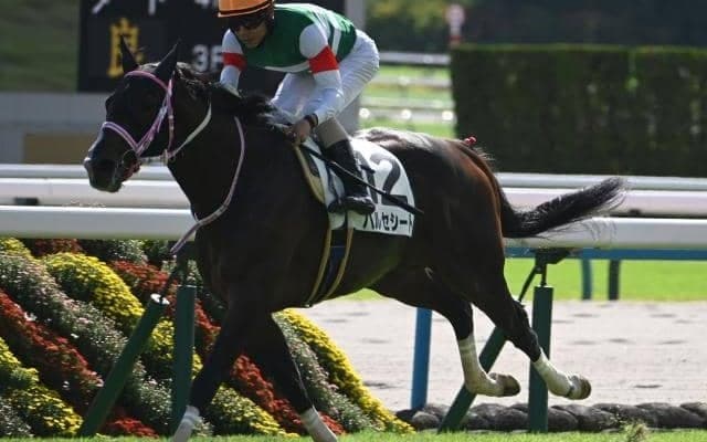 【京都2歳S出走馬・騎手確定】ウイナーズナイン＆西村淳也騎手、バルセシート＆C.デムーロ騎手など11頭