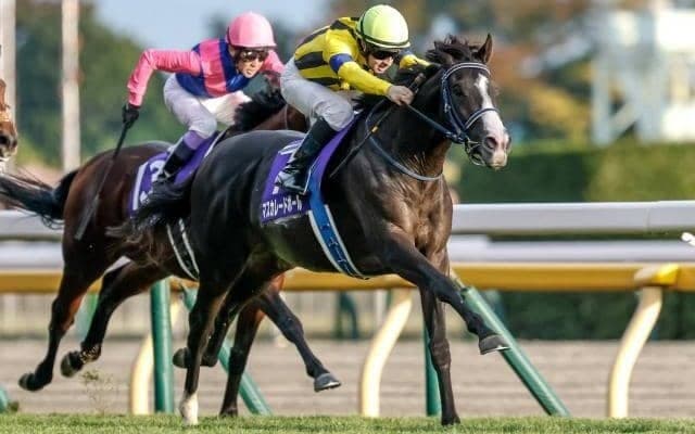 【ジャパンC・調教後馬体重】マスカレードボールは476kg、クロワデュノールは514kg