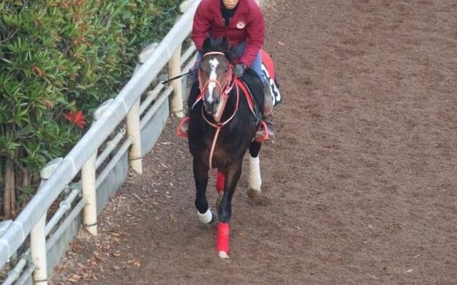 【JRA新馬戦】ラヴズオンリーユーの仔ラヴズプレミアム、エンブロイダリーの半弟バートラガッツなどがデビュー