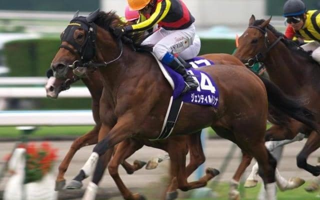 叔母は名牝ジェンティルドンナ ケールハイムがデビュー勝ちなるか