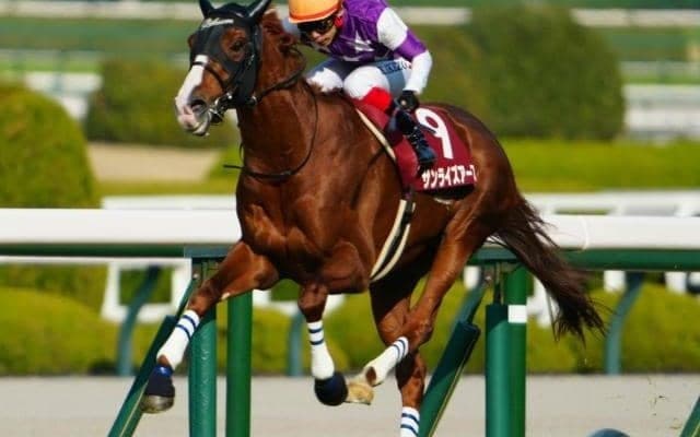 ジャパンC史上初 日本人調教師の親子制覇に3名が挑む