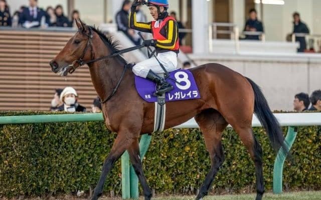【有馬記念】ファン投票第1回中間発表 連覇を狙うレガレイラが28万票超えで1位