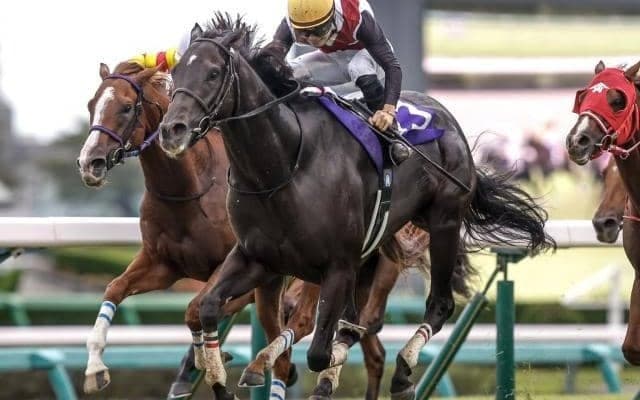 【京阪杯枠順確定】ルガルは1枠1番、ナムラクララは6枠12番