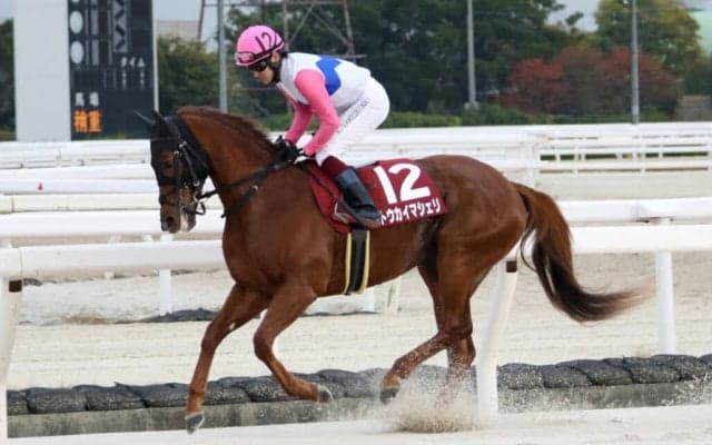 【兵庫ジュニアグランプリ】トウカイマシェリが鮮やか差し切り…鮫島駿「1400mでも大丈夫でした」
