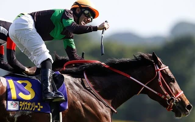 名牝ラヴズオンリーユーの初仔 ラヴズプレミアムが要注目のデビュー戦だ