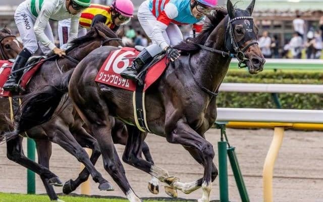 東京芝は外差しも可 キャピタルSはジュンブロッサムの差し切りだ 