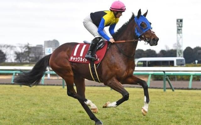 【ステイヤーズS想定馬・騎手】チャックネイト、クロミナンスなど13頭