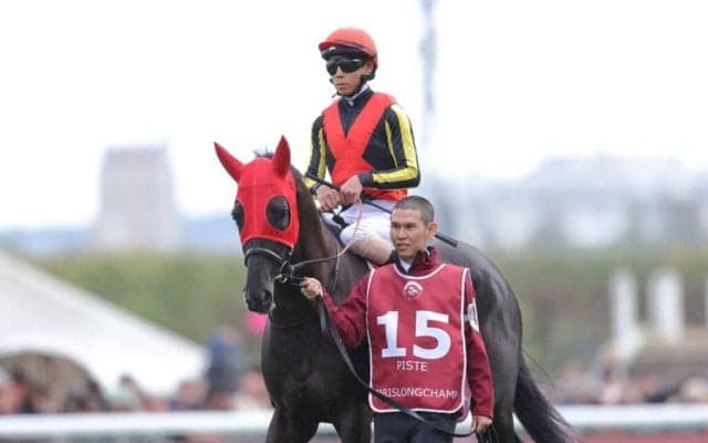 【ジャパンカップ】仏帰りのクロワデュノールは514kg…出走馬の調教後の馬体重