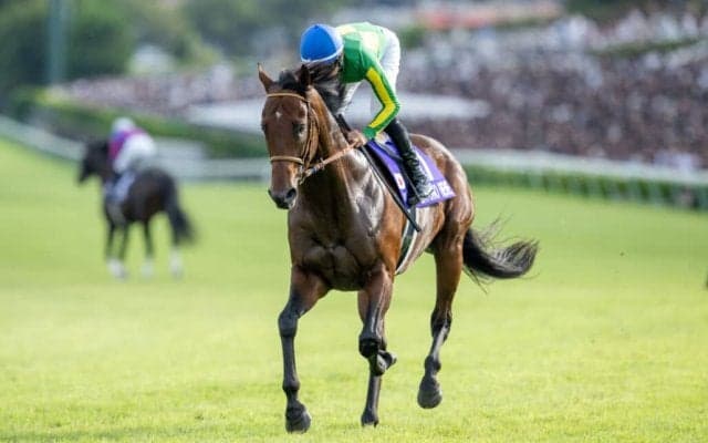 【香港国際競走】サトノレーヴら日本馬8頭が参戦予定…選出馬発表