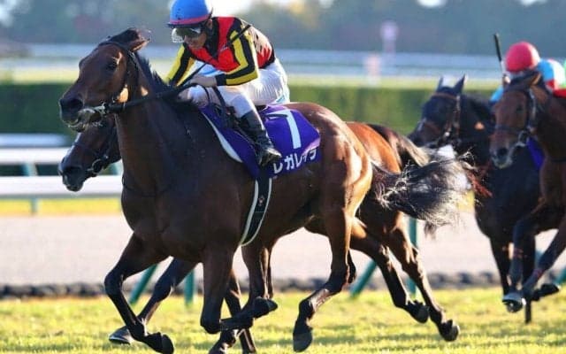 【有馬記念】連覇狙うレガレイラが1位…ファン投票第1回中間発表