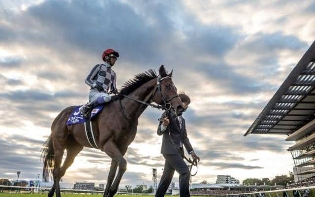 ドジャースがWS制覇した年のジャパンCに共通項 勝ち馬の馬名にヒントあり？