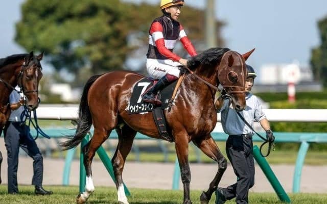 【今日の注目ポイント】京都2歳Sでウイナーズナインが無傷の3連勝を狙う