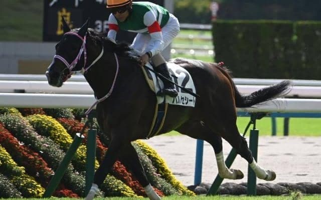 【京都2歳S予想】大舞台への登竜門！ 初タイトルをつかみGI戦線に名乗りを挙げるのは