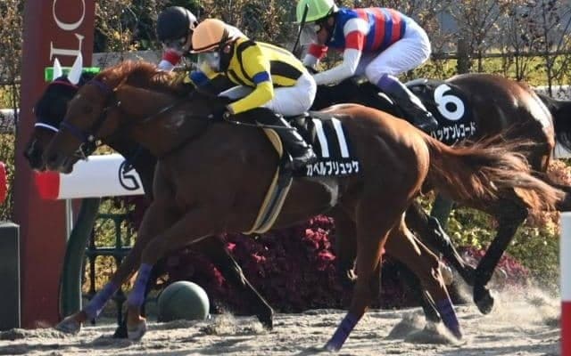 【JRA・WIN5】本日のWIN5は的中10票、配当3051万5200円