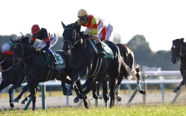 【京都2歳S】伏兵ジャスティンビスタの大外一気が炸裂