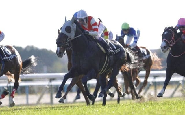 【東山S】武豊ヤブサメがオープン入り