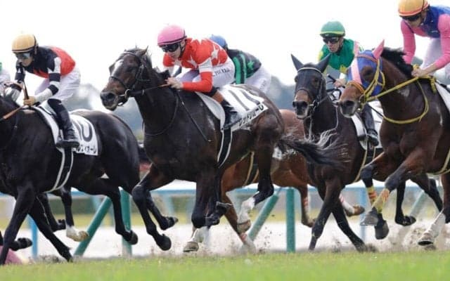 【新馬/京都5R】プーシャン騎乗 レッドリガーレがハナ差凌ぐ