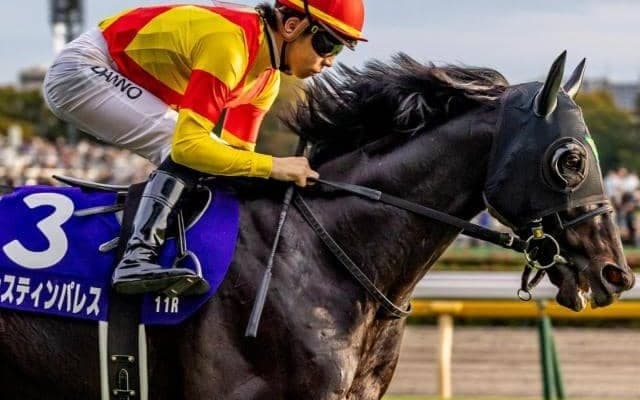 ジャパンCはスローで内枠有利か ジャスティンパレスの一発を期待