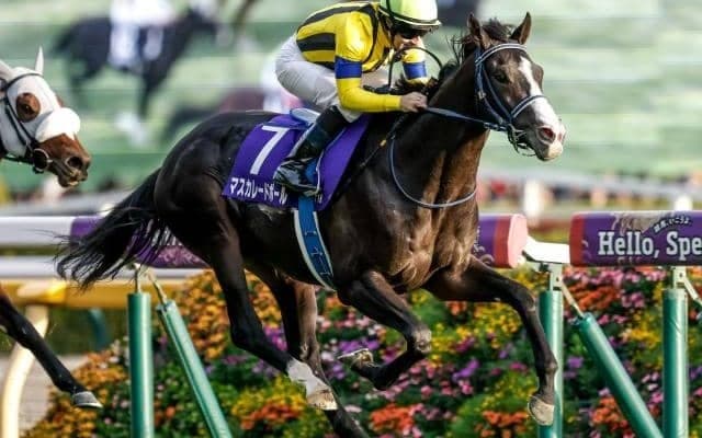 【ジャパンC前日オッズ】マスカレードボールが2.9倍で1番人気