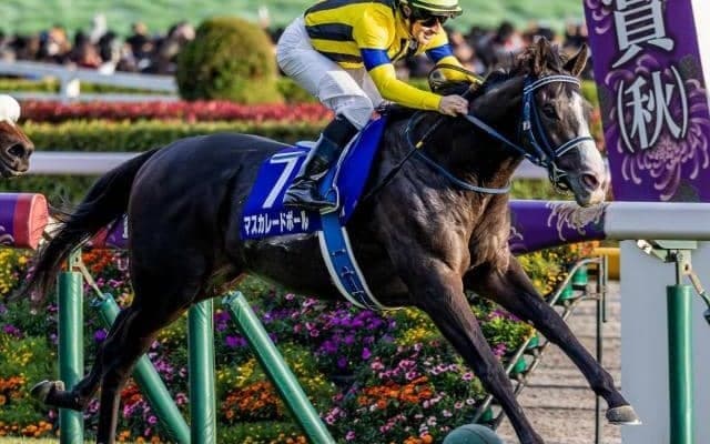 霜降り明星・粗品はマスカレードボールを信頼 ジャパンCは3連複で勝負だ