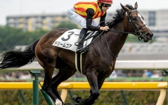 【ベゴニア賞】母は名牝ノームコア ドリームコアが2勝目なるか