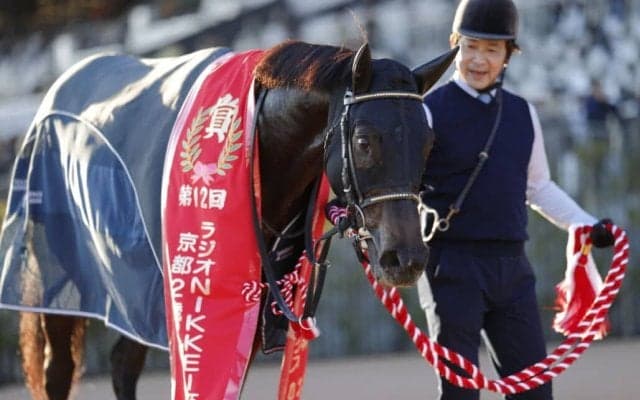 【京都2歳S】北村友「イメージしていた競馬とは少し違った」ジャスティンビスタがデビュー2連勝