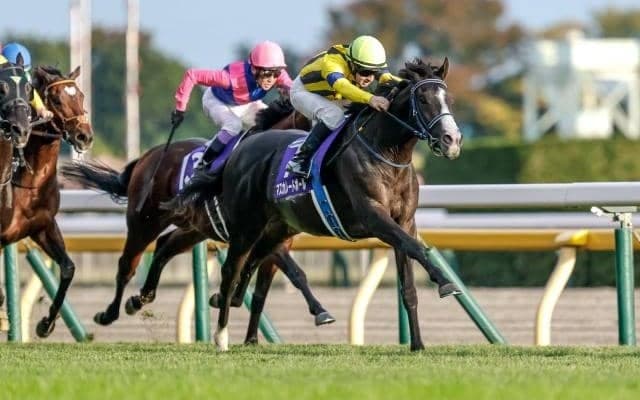 今年のジャパンCでは馬名の“末尾”をチェック 天皇賞(秋)を3歳馬が制した年には共通点あり