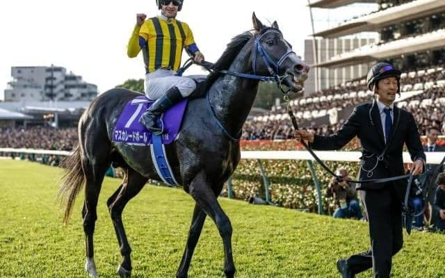 【ジャパンC予想】ダービー馬と古豪が激突 栄光の勝利をつかむのは