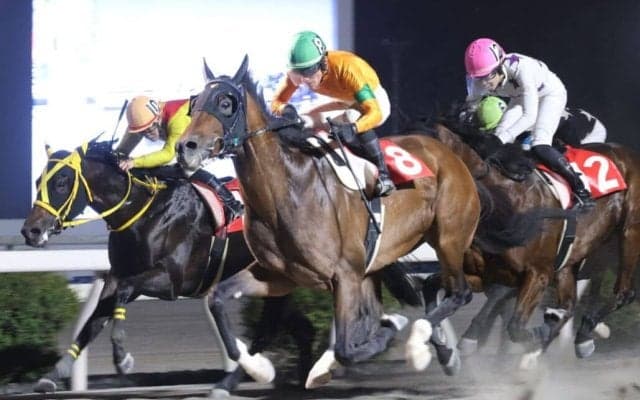 【高知・浦戸湾特別】7番人気リーチアディールが差し切りV…高知転入後初の準重賞制覇