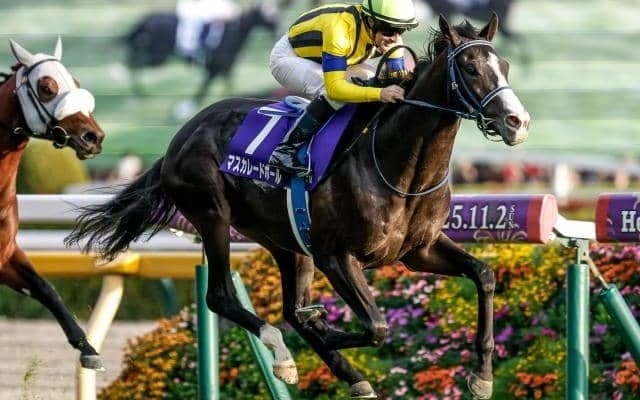 【ジャパンC予想】鉄板パターンは今年も継続? 過去データで探るGIジャパンC