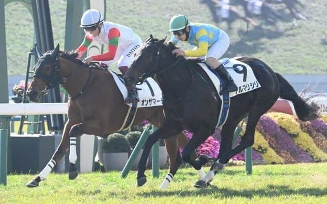 【京都3R新馬戦結果】フォーウィールドライブ産駒オンザマーチが競り合いを制す