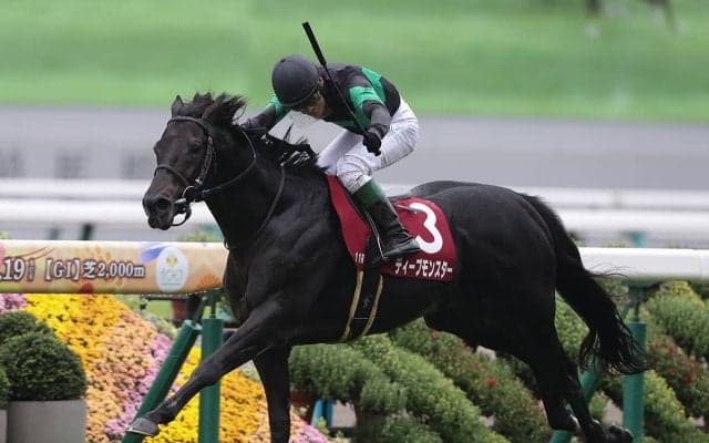 【競馬予想】上位混戦のジャパンカップ　人気馬の間隙を突く可能性がある穴馬候補は２頭いる