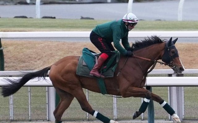 【競馬予想】ジャパンカップに挑む「大物」外国馬カランダガン　欧州最強馬の称号は本物か