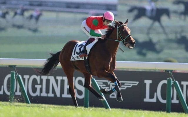 【東京4R】ファムクラジューズが３馬身半差完勝…断然人気アイムインは2着