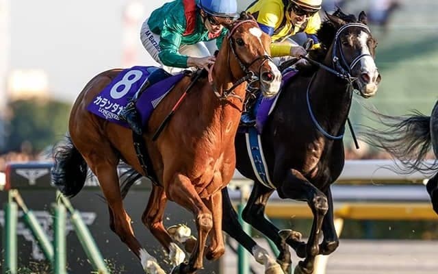 【ジャパンC結果】欧州最強馬カランダガンが2分20秒3のレコードで日本勢を撃破！ 20年ぶりの外国馬V！