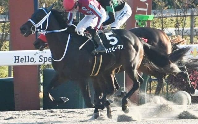 【オータムリーフS結果】9番人気ハッピーマンが叩き合いを制してV