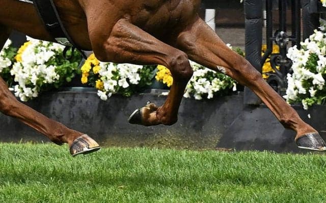 ジャパンC直後…競馬場に現れた球界大物「マジかよ」　ひと際目立つスタイル「カッコよすぎ」