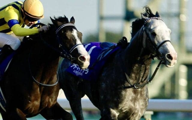 【ジャパンカップ】アドマイヤテラはスタートで落馬、2、3着馬はゴール入線後放馬と波乱…欧州年度代表馬カランダガンがV