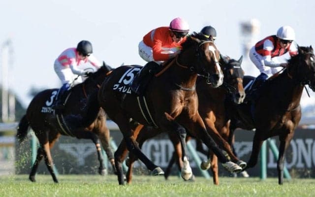 【ウェルカムS】マーカンド騎乗 ヴィレムが人気に応える