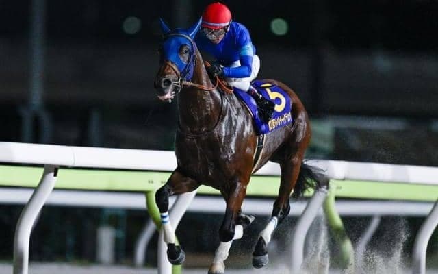 秋のダート王決定戦チャンピオンズCなど3重賞/今週の競馬界の見どころ