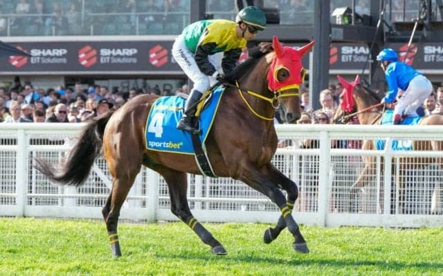 【ステイヤーズS登録馬】暮れの名物マラソンレースにワープスピードなど16頭