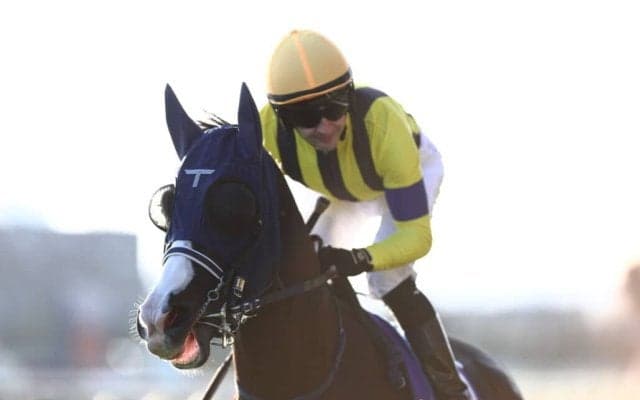 【ジャパンカップ】ルメール「少し内へもたれた」レース後ジョッキーコメント