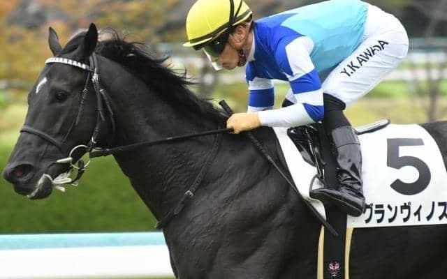 【鳴尾記念見どころ】グランヴィノスが重賞初奪取だ